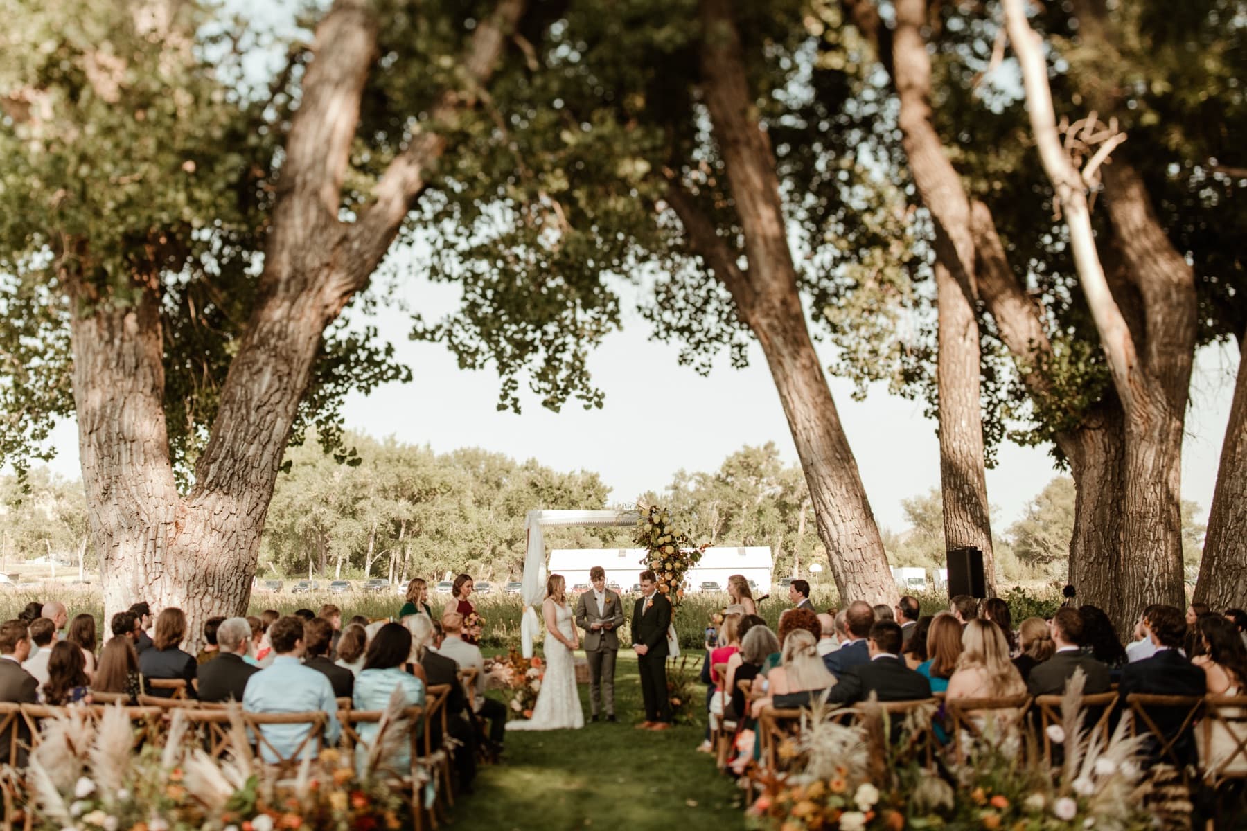 Guests gathered for a wedding ceremony under the trees