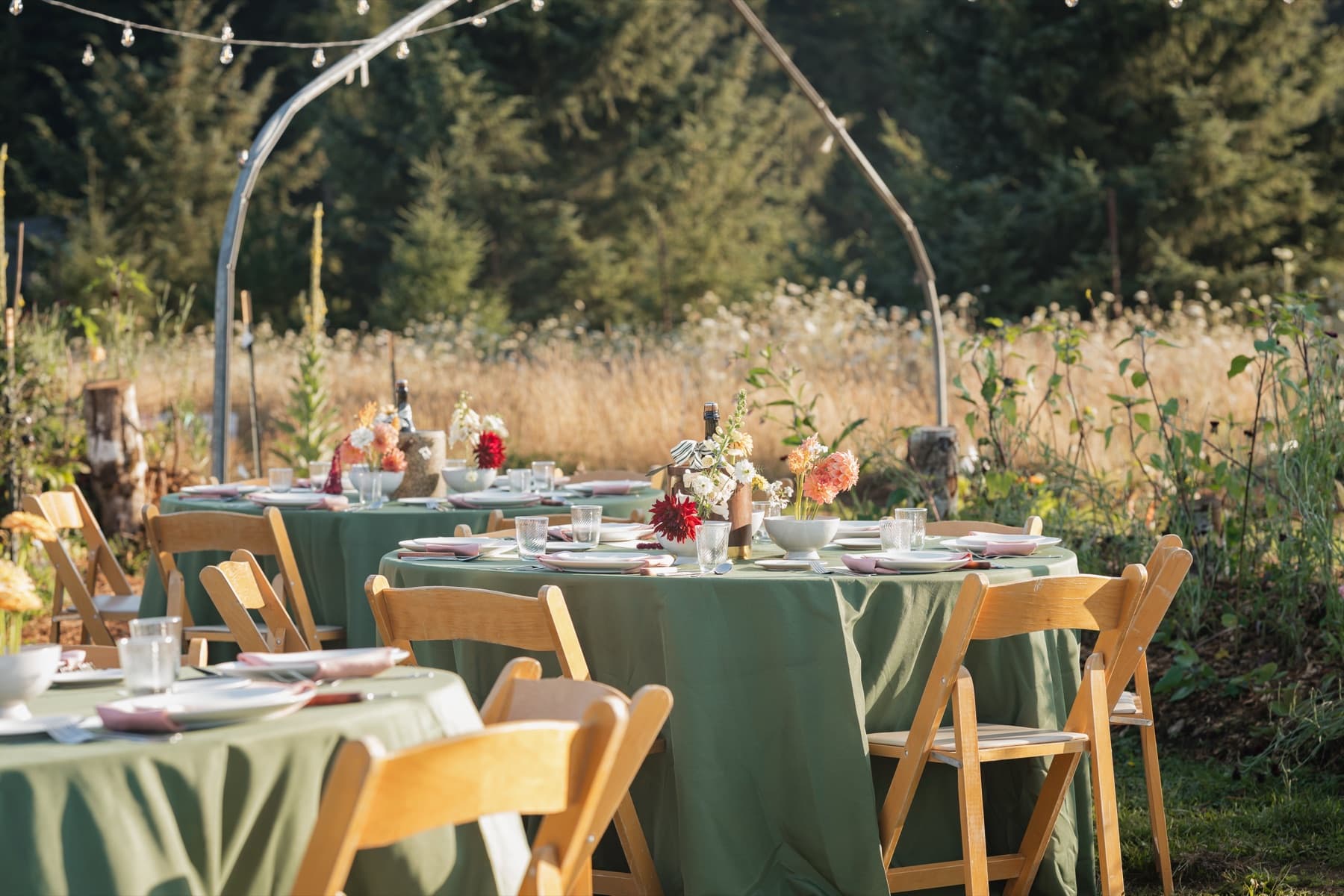 Table Linens