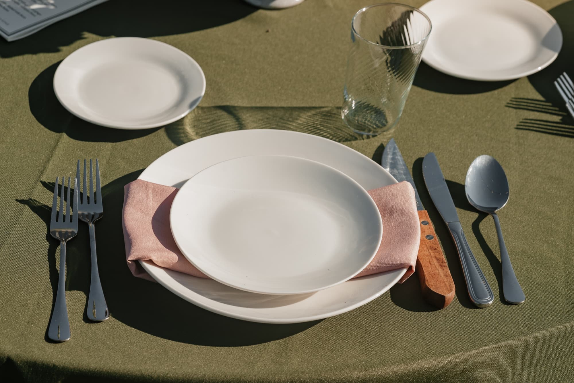 Pink Napkins